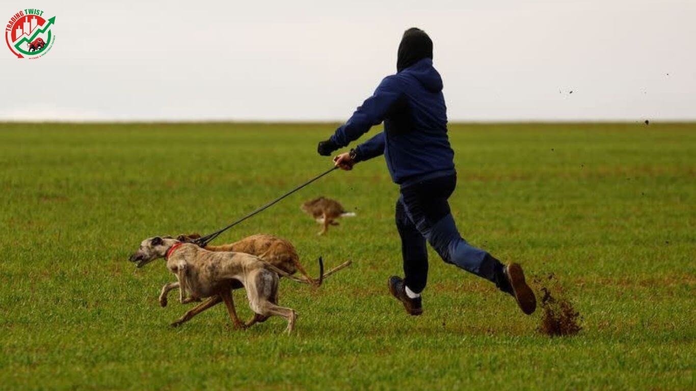 Urban and Rural divisions are revealed by Spain's hunting dog laws