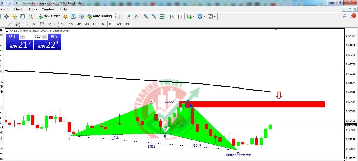 NZDUSD Chart Technical Outlook